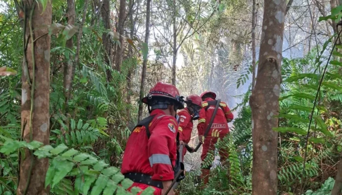 Karhutla Bengkalis Meluas, Kendala Air dan Angin Hambat Pemadaman di Sejumlah Titik