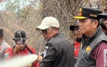 Karhutla Pelalawan Meluas, Bupati Zukri Turun Langsung Awasi Titik Api di Teluk Meranti