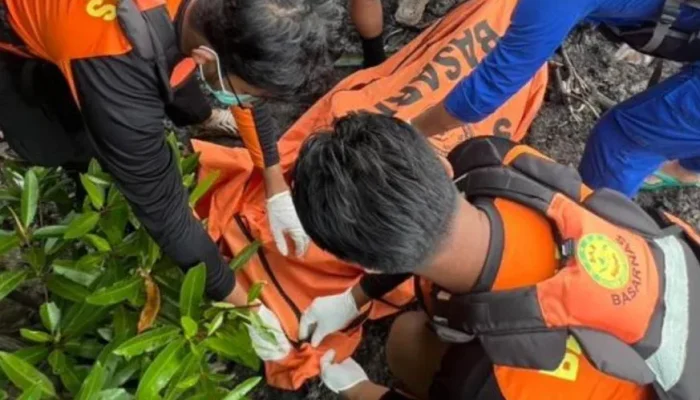 Korban Lompat Kapal Dumai Line Ditemukan Tewas di Selat Meranti