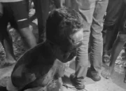 Pelaku Dugaan Persetubuhan Anak di Rokan Hulu Ditangkap Usai Kabur, Sempat Diamuk Warga