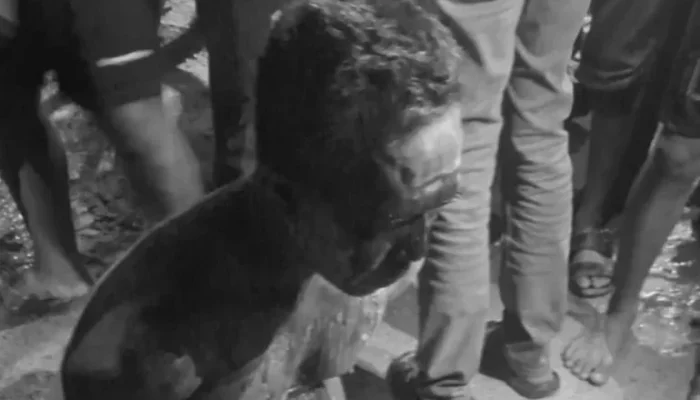 Pelaku Dugaan Persetubuhan Anak di Rokan Hulu Ditangkap Usai Kabur, Sempat Diamuk Warga