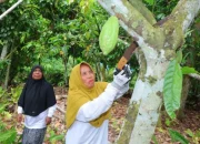 Pemberdayaan Ekonomi Perempuan Ubah Nasib Ibu-Ibu di Aceh dan Sumut