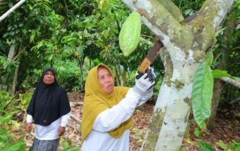 Pemberdayaan Ekonomi Perempuan Ubah Nasib Ibu-Ibu di Aceh dan Sumut
