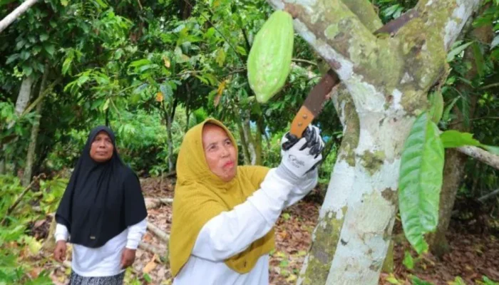 Pemberdayaan Ekonomi Perempuan Ubah Nasib Ibu-Ibu di Aceh dan Sumut