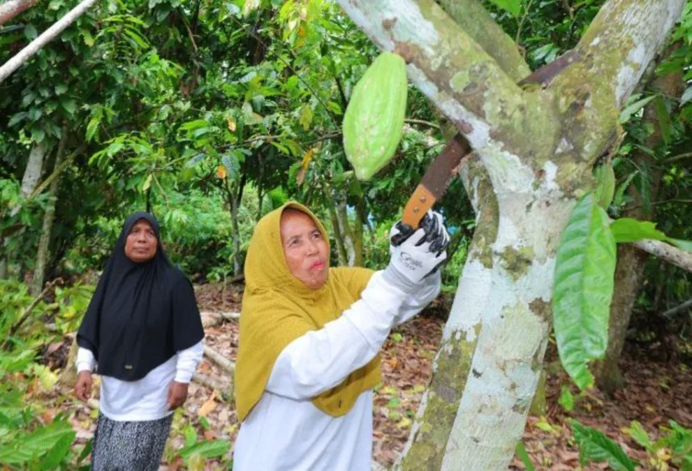 Pemberdayaan Ekonomi Perempuan Ubah Nasib Ibu-Ibu di Aceh dan Sumut