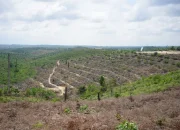 Relokasi Warga TNTN Berjalan, H. Zukri: KTP Tak Boleh Beralamat di Kawasan Hutan