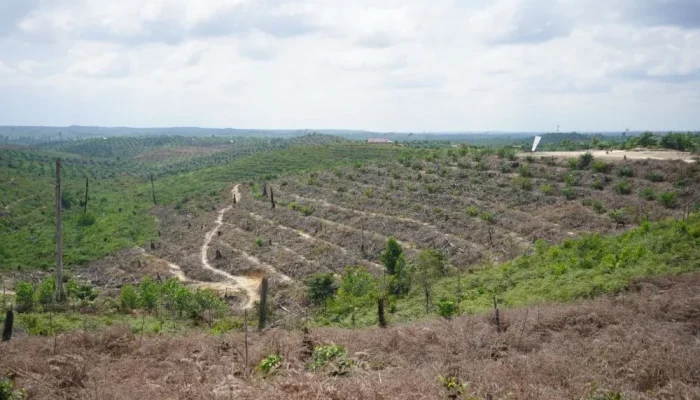 Relokasi Warga TNTN Berjalan, H. Zukri: KTP Tak Boleh Beralamat di Kawasan Hutan