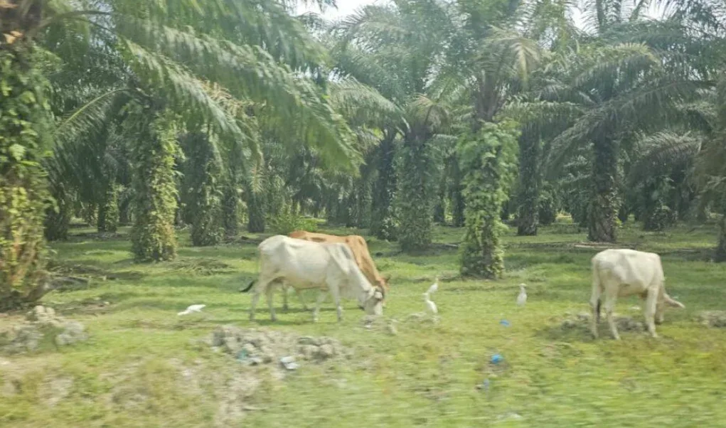 Riau Siap Jalankan SISKA