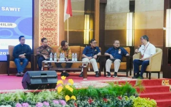 DBH Sawit 4 Persen Ditetapkan, Skema Baru Fokus Infrastruktur Daerah
