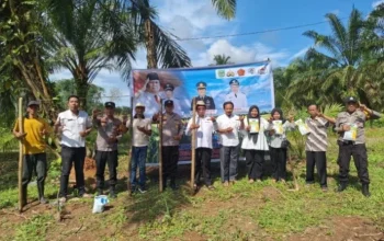 Polsek Tandun dan Warga Tanam Jagung Pipil di Lahan 1 Hektar