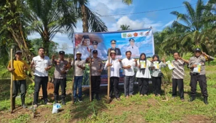 Polsek Tandun dan Warga Tanam Jagung Pipil di Lahan 1 Hektar