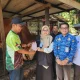 Sapi Kurban Presiden di Dumai Capai 950 Kg, Samson Dipastikan Sehat