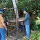 Beruang Madu Muncul di Permukiman Pelalawan