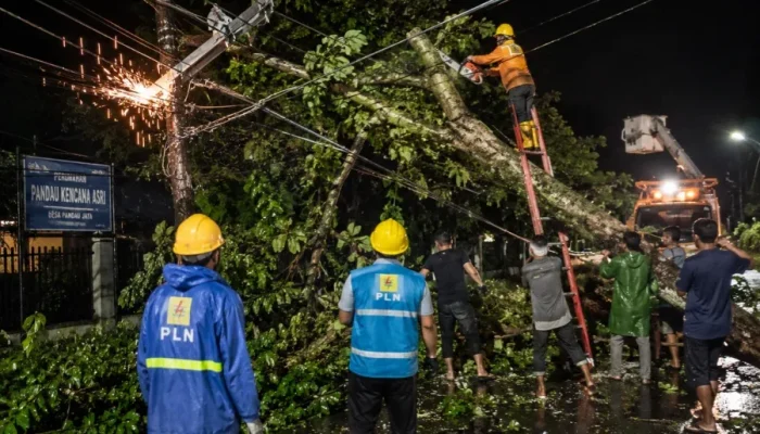 PLN dan Warga Evakuasi Pohon Tumbang yang Putuskan Jaringan Listrik di Pandau Jaya