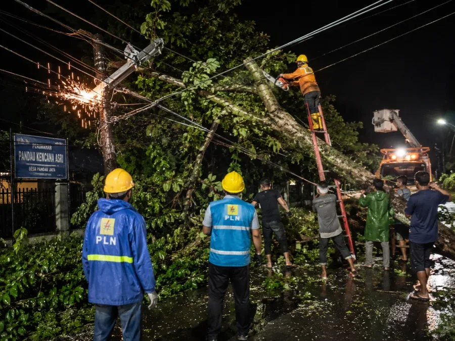 PLN Evakuasi Pohon Tumbang Penyebab Listrik Padam di Kampar