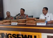 Polisi Gagalkan Peredaran 24 Kilogram Ganja di Pringsewu, Kurir Ditangkap saat Bawa Koper dan Kardus