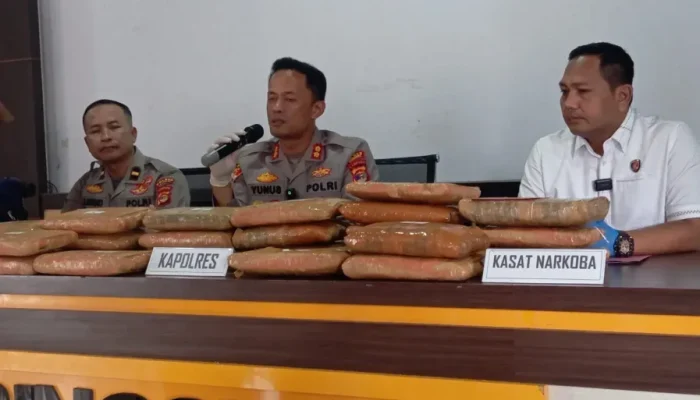 Polisi Gagalkan Peredaran 24 Kilogram Ganja di Pringsewu, Kurir Ditangkap saat Bawa Koper dan Kardus