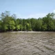 Kades Batang Sari Ajak Warga Jaga Ekosistem Mangrove