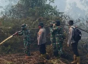 Karhutla di Pulau Rupat Masuk Hari Ketiga, Tim Gabungan Terus Berjibaku Padamkan Api