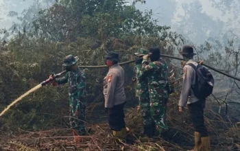Karhutla di Pulau Rupat Masuk Hari Ketiga, Tim Gabungan Terus Berjibaku Padamkan Api
