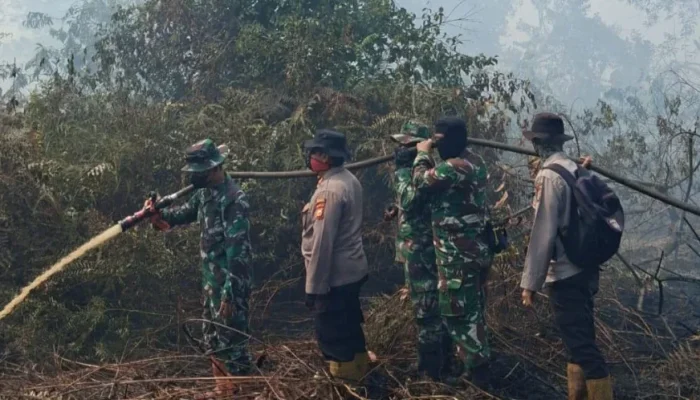 Karhutla di Pulau Rupat Masuk Hari Ketiga, Tim Gabungan Terus Berjibaku Padamkan Api