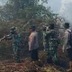 Karhutla di Pulau Rupat Masuk Hari Ketiga, Tim Gabungan Terus Berjibaku Padamkan Api