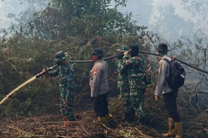Karhutla di Pulau Rupat Masuk Hari Ketiga, Tim Gabungan Terus Berjibaku Padamkan Api
