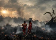Karhutla Indragiri Hulu Mulai Terkendali, Manggala Agni Optimistis Tuntas Besok