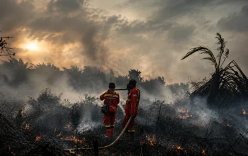 Karhutla Indragiri Hulu Terkendali, Optimistis Tuntas