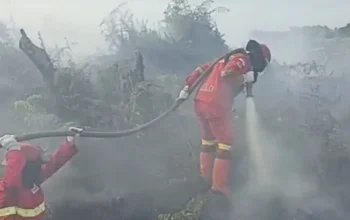 Karhutla Masih Terjadi di Rohil, Manggala Agni Siapkan Pasukan Tambahan