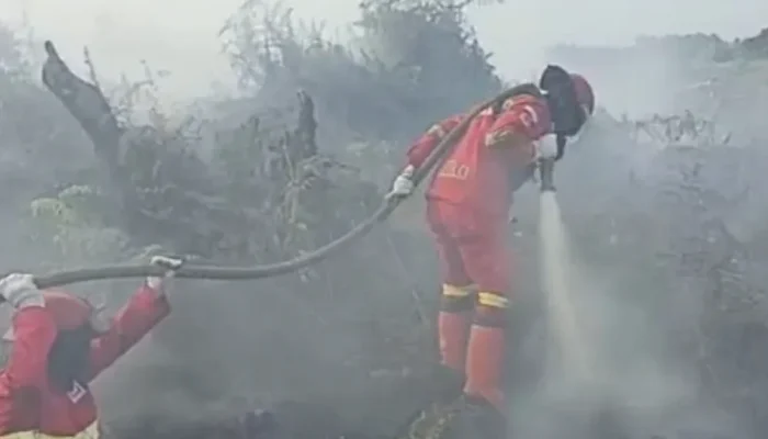 Karhutla Masih Terjadi di Rohil, Manggala Agni Siapkan Pasukan Tambahan
