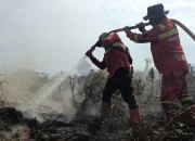 Karhutla Rohil Meluas, Manggala Agni Sekat Api di Rantau Bais