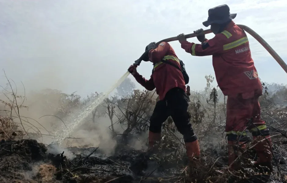 Karhutla Rohil Meluas, Manggala Agni Sekat Api di Rantau Bais