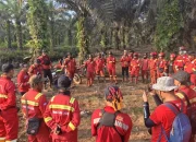 Karhutla Tanjung Kapal Mulai Terkendali di Bengkalis
