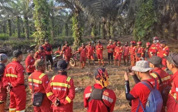 Karhutla Tanjung Kapal Mulai Terkendali di Bengkalis