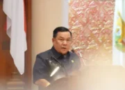 Kebakaran Pulau Kijang Hanguskan 81 Rumah, Pemprov Riau Siapkan Bantuan dan Rehabilitasi