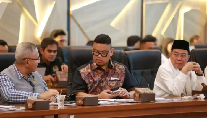 Pemprov Riau Sampaikan Tantangan Kesehatan dan Ketenagakerjaan ke Komisi IX DPR RI