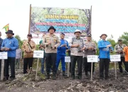 Lawan Abrasi, 7.000 Mangrove Ditanam di Pesisir Siak