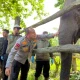 Nona Seroja Lahir di Tesso Nilo, Jadi Simbol Harapan Baru Konservasi Gajah Sumatera