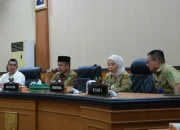 Pemprov Riau Genjot PAD dari Sawit, Satgas Pajak Mulai Periksa Perusahaan