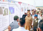 Pemulihan Tesso Nilo Terkendala Lahan, Riau Masih Butuh 9.966 Hektare untuk Relokasi Warga