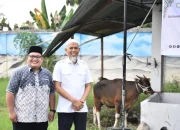 PMRJ Tebar Qurban di Riau, Dumai Terima Bantuan Sapi untuk Masyarakat