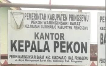 Di Balik Anggaran Publikasi Pekon Waringinsari Barat, Sejumlah Pertanyaan Menunggu Jawaban