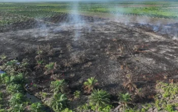 8 Jam Tembus Medan Ekstrem, Manggala Agni Berjibaku Padamkan Karhutla di Rohil