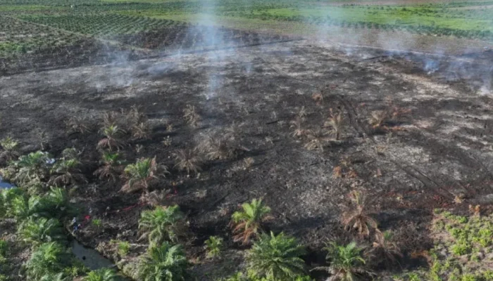 8 Jam Tembus Medan Ekstrem, Manggala Agni Berjibaku Padamkan Karhutla di Rohil