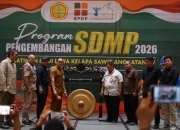 BPDP dan PT Bestari Latih 172 Pekebun Sawit Inhil, Perkuat SDM Perkebunan Berkelanjutan