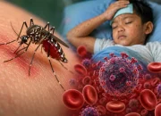 Meranti Gelar Gerakan Larvasidasi Massal, Warga Diajak Putus Rantai Penyebaran DBD