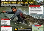 Nelayan di Rokan Hilir Diterkam Buaya Saat Pasang Pukat, Alami Luka Gigitan di Punggung