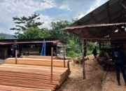 Polisi Bongkar Sawmill Ilegal di Kampar, Ratusan Batang Kayu Disita, Pemilik Diburu