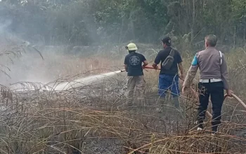 Kebakaran Lahan Depan Mall SKA Pekanbaru Dipadamkan